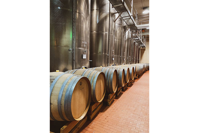 porte scorrevoli automatiche in vetro per Cantine Ferrari