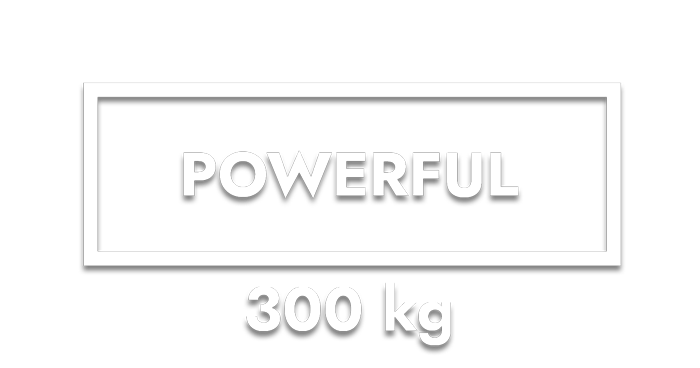 Slide caratteristiche NEXT300: potente