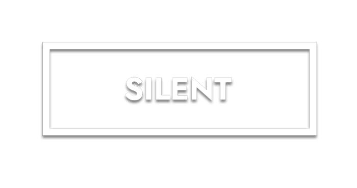 Slide caratteristiche NEXT300: Silenziosa