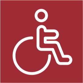 Icona funzione diversamente abili NEXT300