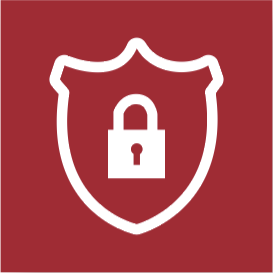 Icona Privacy NEXT300